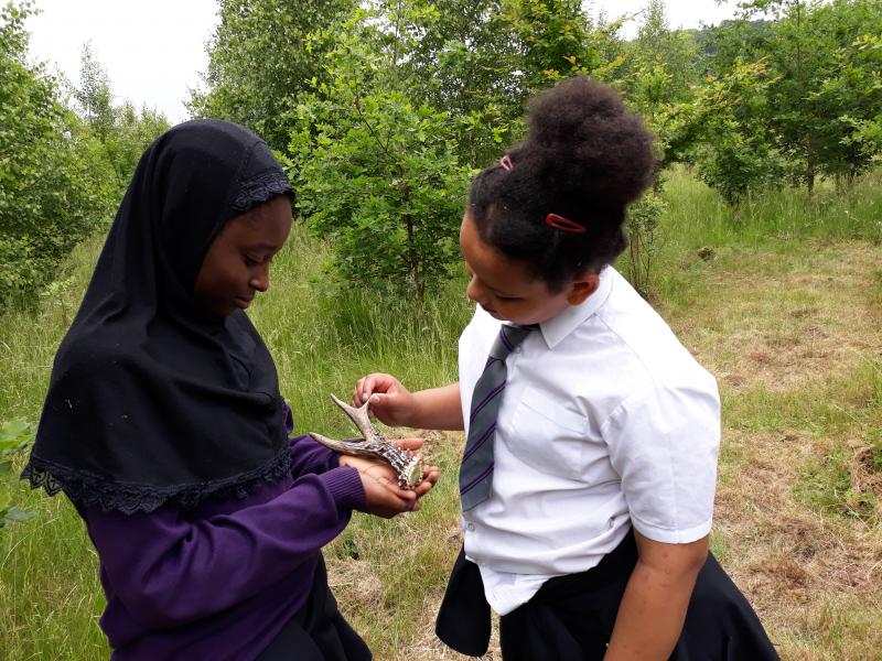 Students looking at a deer antler 