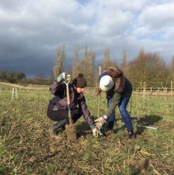 2 volunteers from Dennis Publishing working hard in the Forest