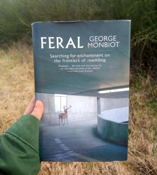 Book cover of 'Feral' by George Monbiot