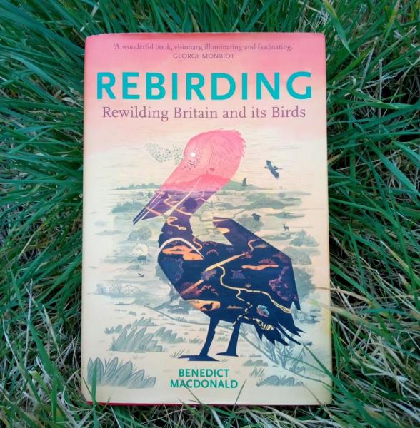 Book cover of 'Rebirding' by Benedict Macdonald