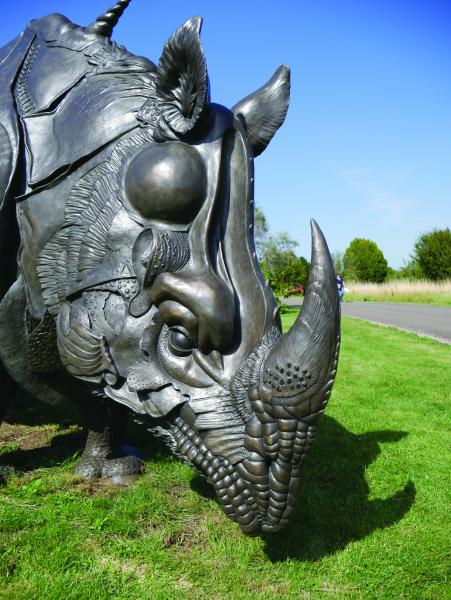 Close up of the face of a bronze statue of Durer's Rhinoceros on a sunny day
