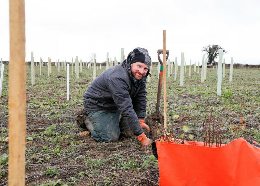 Senior Forest Ranger Ian, kneeling down planting a tree sapling.