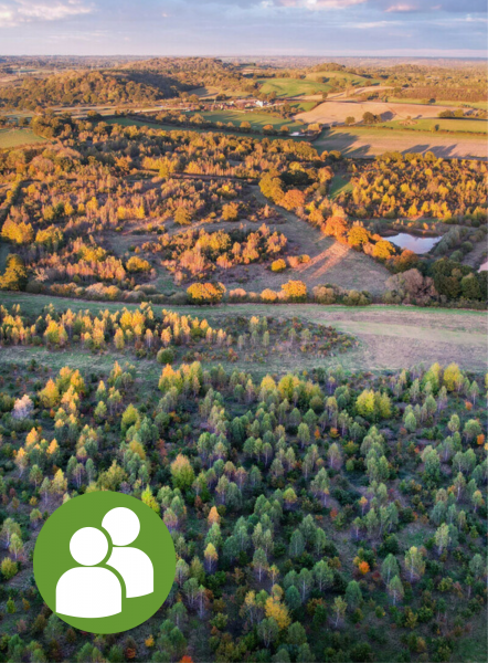 An aerial view of the Forest in the autumn -people icon in the bottom leftt