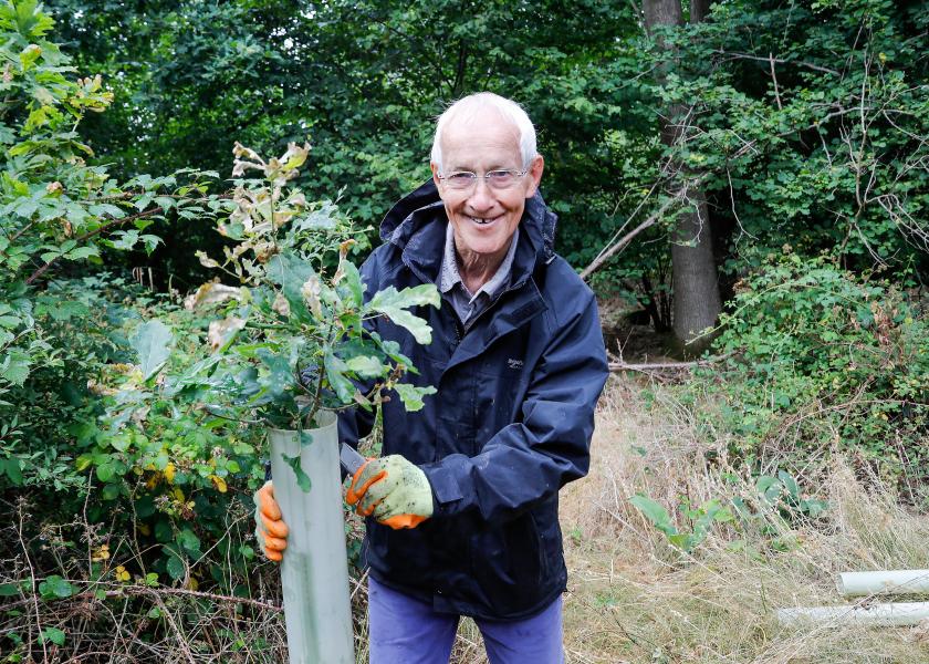 Steve Wynde, Volunteer Leader removing a tree guard.