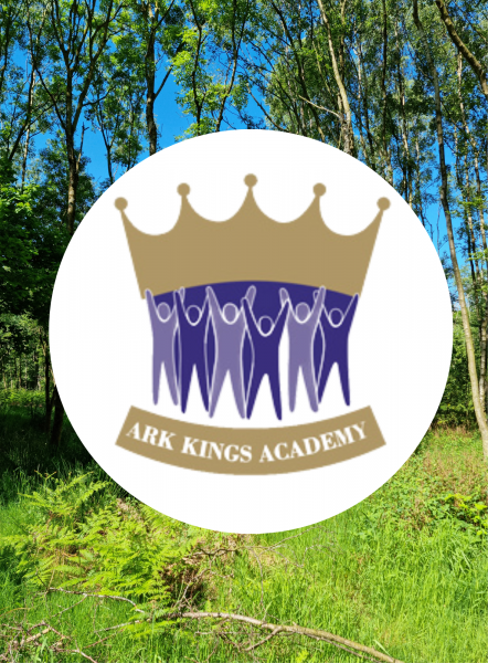 Ark Kings academy logo over a scene at Gorcott Hill