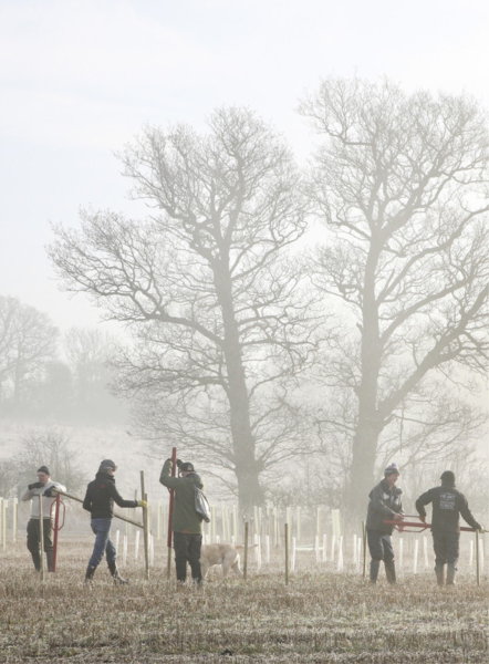 People tree planting on a misty winters morning 