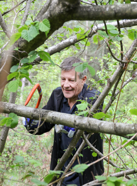 A man sawing a branch on a tree