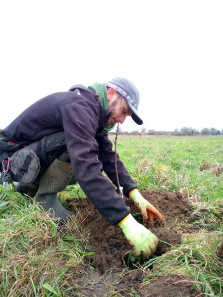 Wilf, Assistant Forest Ranger planting a fruit tree