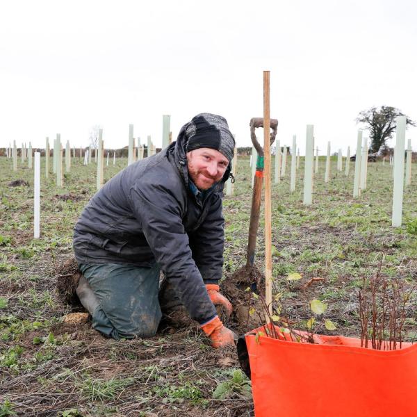 Senior Forest Ranger Ian kneeling in a field by a newly planted tree sapling