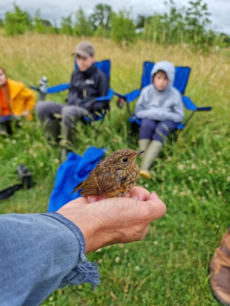 A bird ringer conducting a bird survey. There are two teenagers in the back ground on camp chairs and one teenager sitting on a grassy verge. They are out of focus, the bird is the show stopper being held in the ringers hand