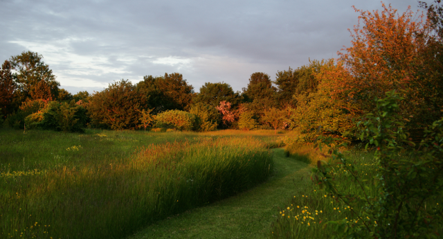 A stunning array of autumnal colour at The Arboretum