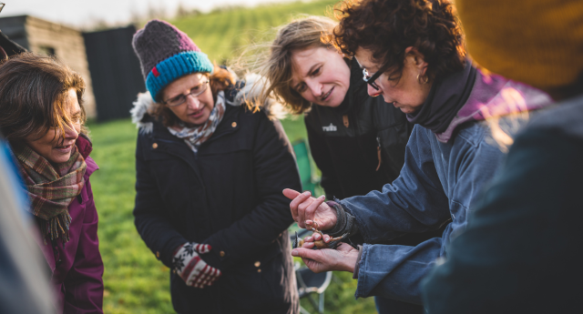 A licensed bird ringer holding a bird in the hand and showing the group