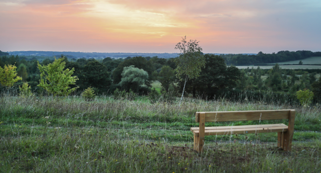 A sunset view from Alne Wood Park Burial Ground