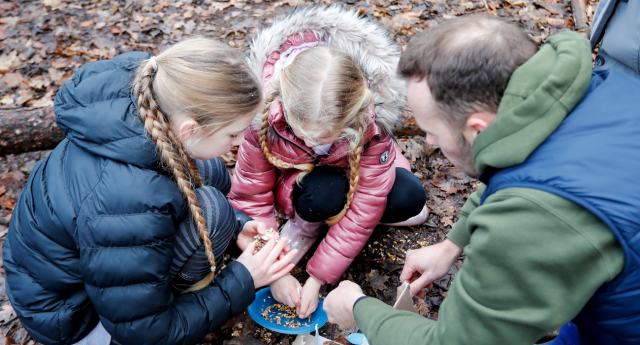 A couple of Mini Foresters and a parent exploring the Forest at Middle Spernal