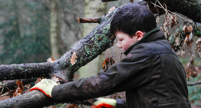 A Young Forester cutting a tree branch at Middle Spernal