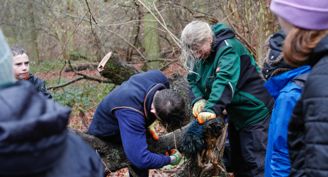 A group of Young Foresters cutting a tree branch at Middle Spernal with a member of staff