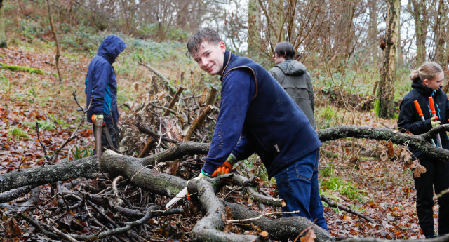 A Young Forester cutting a tree branch at Middle Spernal