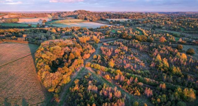 An aerial image of the Forest at Middle Spernal with a low sun