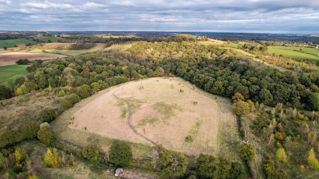 Aerial view of a large meadow surrounded by dense woodland, with rolling countryside and distant hills under a cloudy sky.